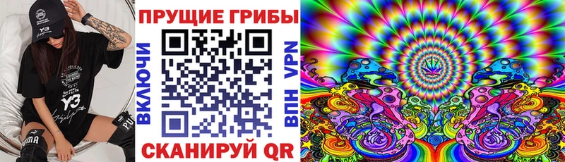 где продают наркотики  Касли  Галлюциногенные грибы Cubensis 